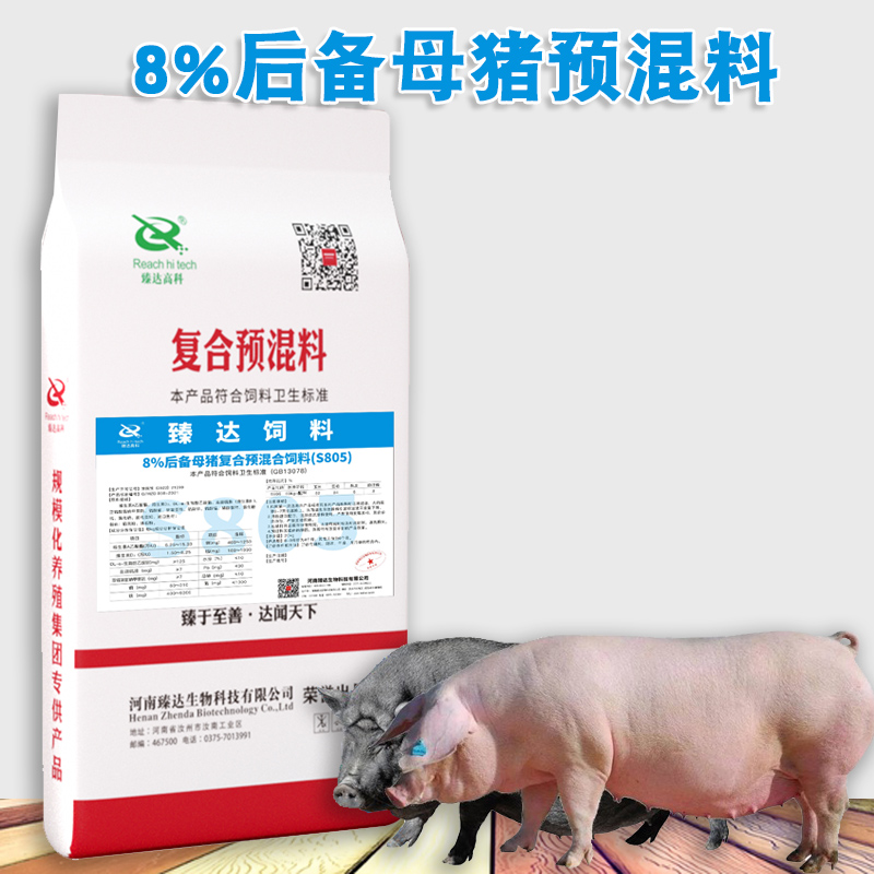 8%后備母豬料